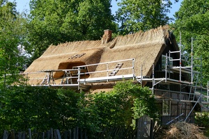 Lüneburger Heide bei Wilsede