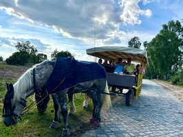 Lüneburger Heide bei Wilsede