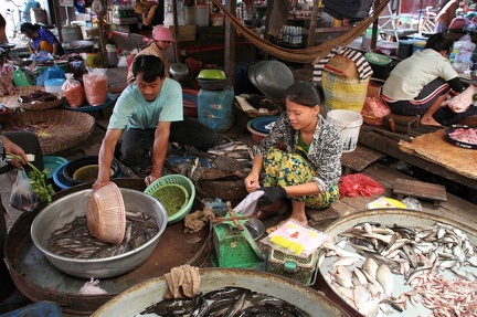 Markt: Frischer Fisch